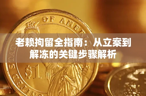 北京老赖拘留全指南：从立案到解冻的关键步骤解析