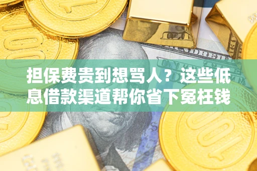北京担保费贵到想骂人？这些低息借款渠道帮你省下冤枉钱