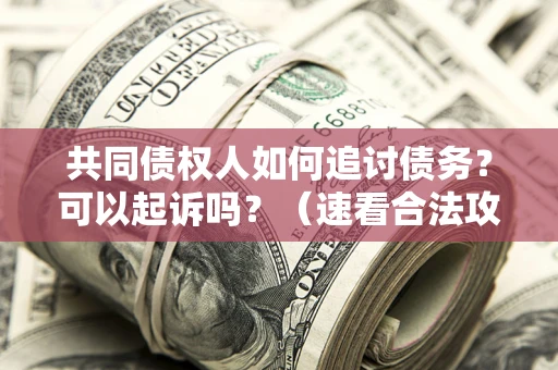 北京共同债权人如何追讨债务？可以起诉吗？（速看合法攻略）