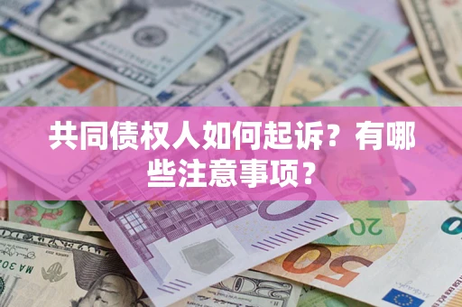 北京共同债权人如何起诉？有哪些注意事项？