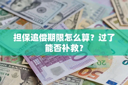 北京担保追偿期限怎么算？过了能否补救？
